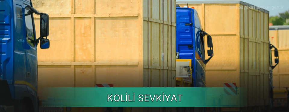 Avrupa Yakası Kolili Sevkiyat Ambar Firmaları Avrupa Yakası Kolili Sevkiyat Ambar Firmaları
