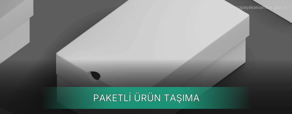 Paketli Ürün Taşıma Paketli Ürün Taşıma